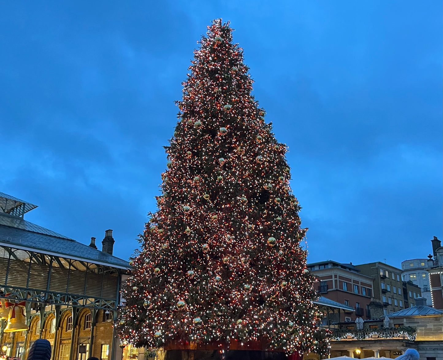 Christmas tree - order before 28th November